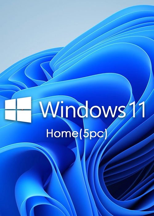 ms windows 10 home oem cd-key global