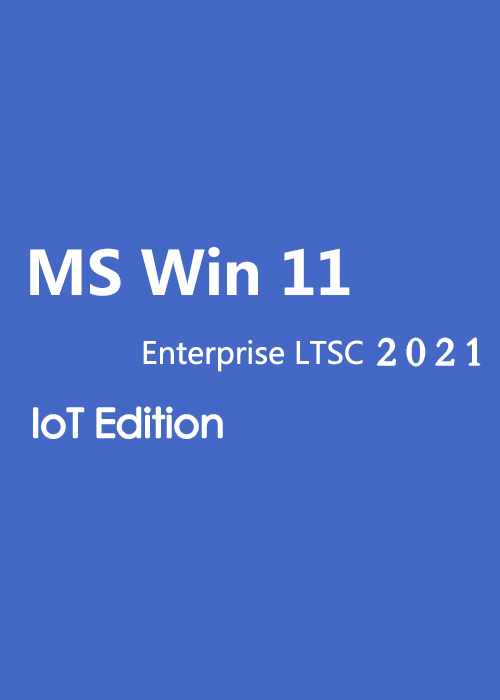 MS Win 11 Enterprise LTSC 2024 IoT Edition CD  Key